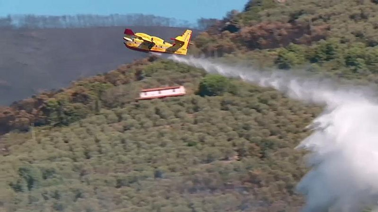 Waldbrände bei Pisa