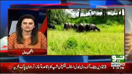 News Talk With Yashfeen Jamal - 27th September 2018