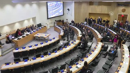 Dışişleri Bakanı Çavuşoğlu, "Arabuluculuk Dostlar Grubu Bakanlar Toplantısı"Nda Konuştu - New