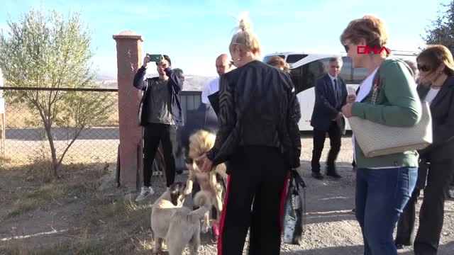Sivas Turistlerin Kangal Köpeği İlgisi