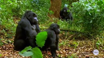 Gogglebox Australia S01 E02