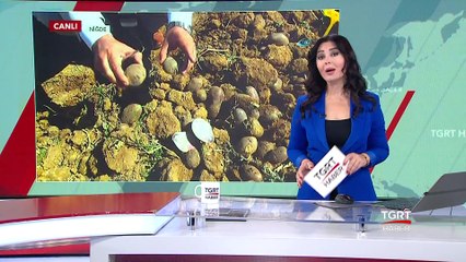 Yerli ve Milli Renkli Patatesler