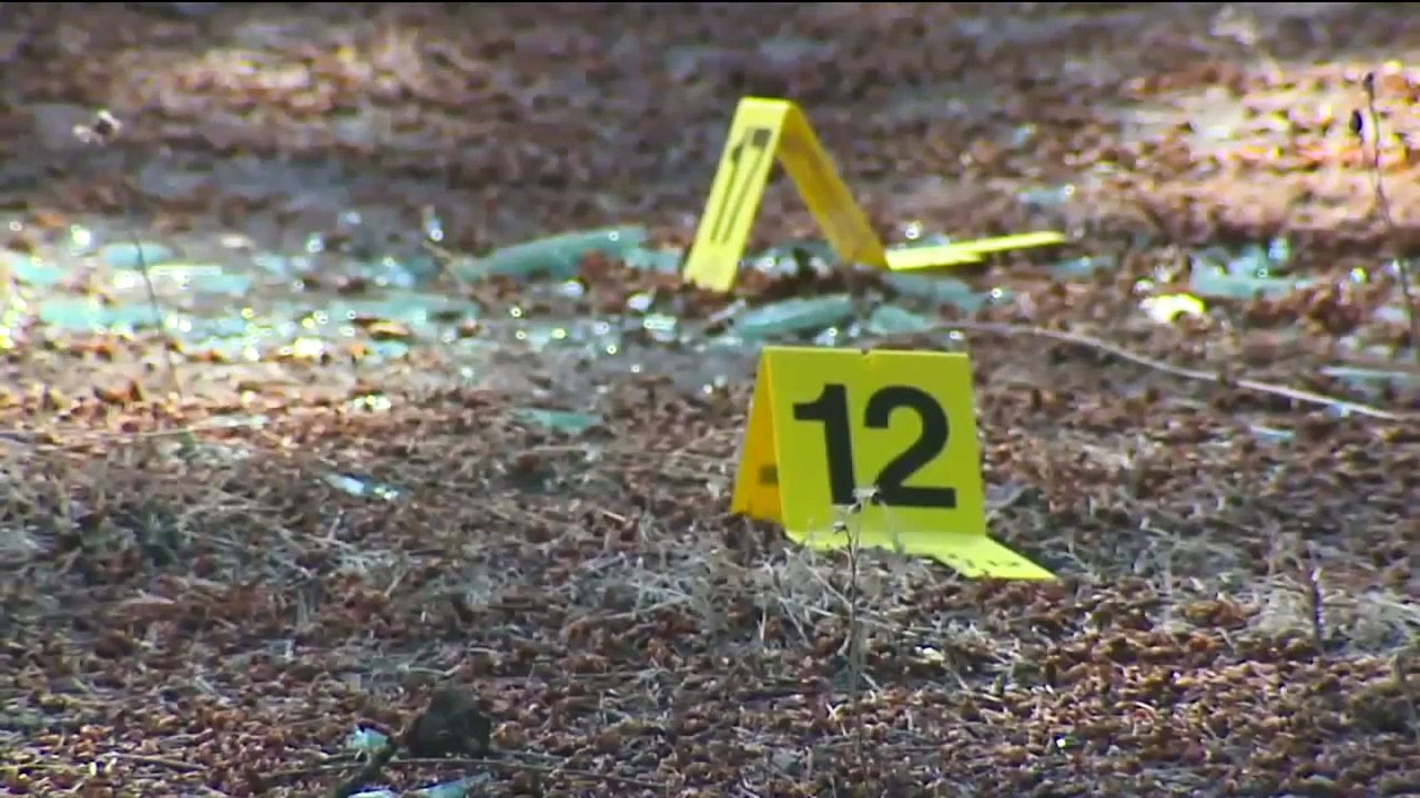 Fugitive Wanted for Attempting to Kill Mother of His Child Arrested