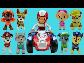All About Paw Patrol Pups & Vehicles w/ Ryder Chase Marshall Skye Zuma Rubble Rocky Everest