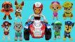 All About Paw Patrol Pups & Vehicles w/ Ryder Chase Marshall Skye Zuma Rubble Rocky Everest