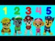 LEARN Counting with Paw Patrol Toys Count 123's FUN Pups Figures BEST for Toddlers