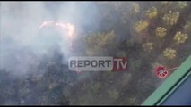 Report Tv-Zjarr i madh në Synej të Kavajës, tre zjarrfikëse nisen me urgjencë nga Tirana