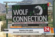 Terapia con lobos, la novedosa alternativa contra el estrés