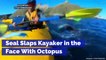 Seal Slaps Kayaker in the Face With Octopus