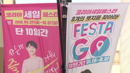 '코리아세일페스타' 개막...성공 미지수 / YTN