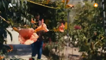 Το Τατουάζ - Σεζόν 2 - Επεισόδιο 17