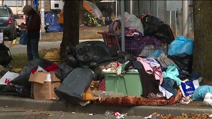 Woman Says She Was Attacked by Dog Whose Owners Live in Parked RV on Street