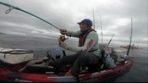 Fish Gets Payback on Kayak Angler