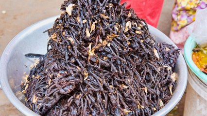 Top 10 Most Surprising Foods From Around the World