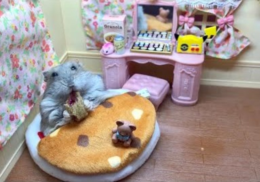 Pampered Hamster Enjoys Breakfast in Bed