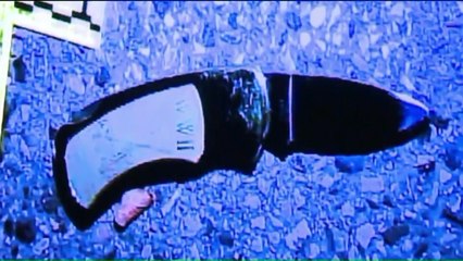 Officer Van Dyke 'Was Taught to Shoot Rapidly,' Police Instructor Says During Trial