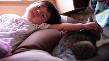 ¿A los gatos les gustan los besos? - ¡Descúbrelo!