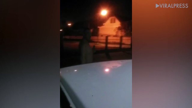 Scotsman Tells Thai Mechanic To Be Quiet