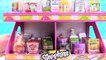 Shopkins Collectors Edition Mini Packs Season 10 Full Box Opening Toy Review _ PSToyReviews