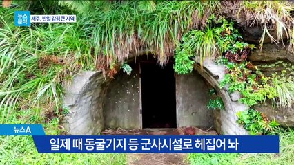 [뉴스분석]‘평화의 섬’ 제주와 일본 ‘욱일기’