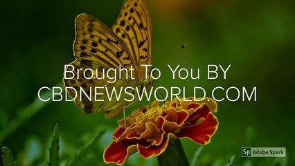 Dosage For CBD Extract For Sale