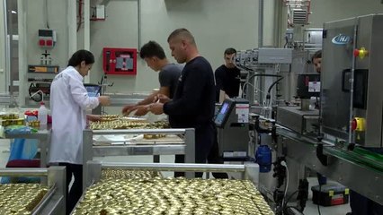 Sahte Bala Geçit Yok