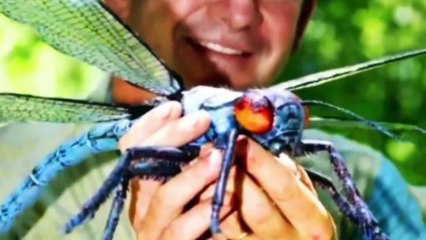 LES 10 PLUS GRANDES CHOSES DU MONDE | Lama Faché