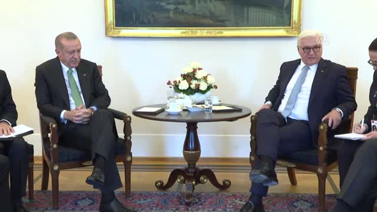 Erdoğan-Steinmeier Görüşmesi - Heyetler Arası
