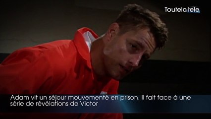 Les feux de l'amour:  épisode du mardi 2 octobre 2018