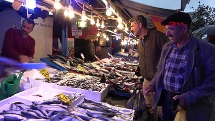 Uzmanlar uyardı 'Hamsi avı için çok erken, kasım ayı beklenmeli'