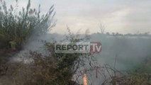 Report TV - Vijojnë zjarret, flakët në Patos rrezikojnë disa banesa dhe sera