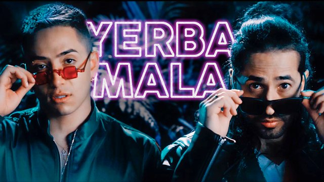 Andy Rivera ❌ Dalmata - Yerba Mala  [Official Video]