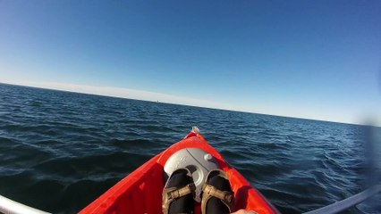Ballena Franca se aproxima saltando hacia mi Kayak - Puerto Madryn [HD]