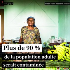 En Martinique, le chlordécone un “scandale environnemental”