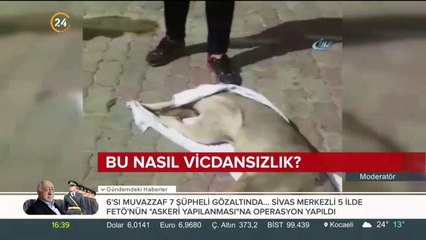 Bu nasıl vicdansızlık?