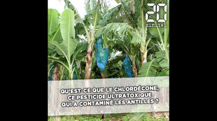 C'est quoi le problème avec le chlordécone ?