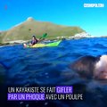 Un kayakiste gifflé par un phoque avec un poulpe