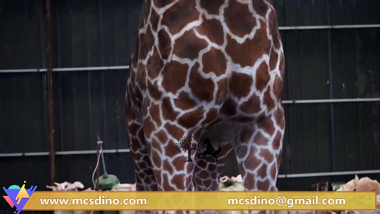 MAG002-Animatronoic Giraffe