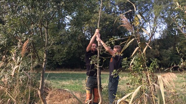 Des apprentis entretiennent la prairie du Creux