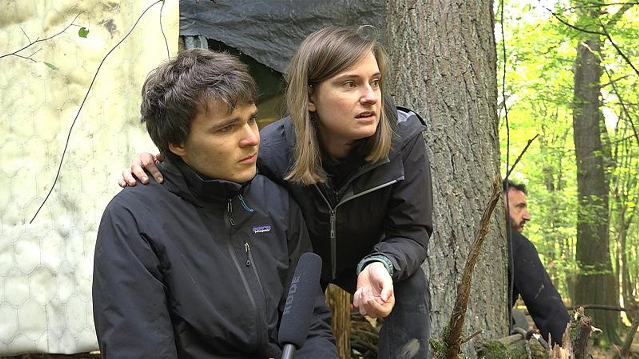 Räumung des Hambacher Forsts: 'zulässig, aber absurd'
