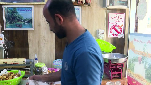 Entre guerres et sécheresse, les dix plaies du palmier d'Irak