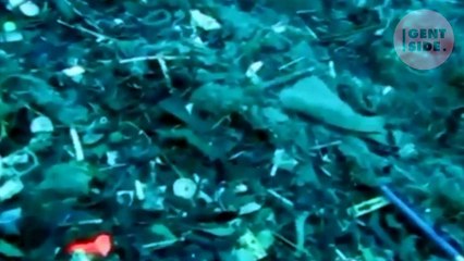 Esto ocurre en la fosa oceánica más profunda del mundo