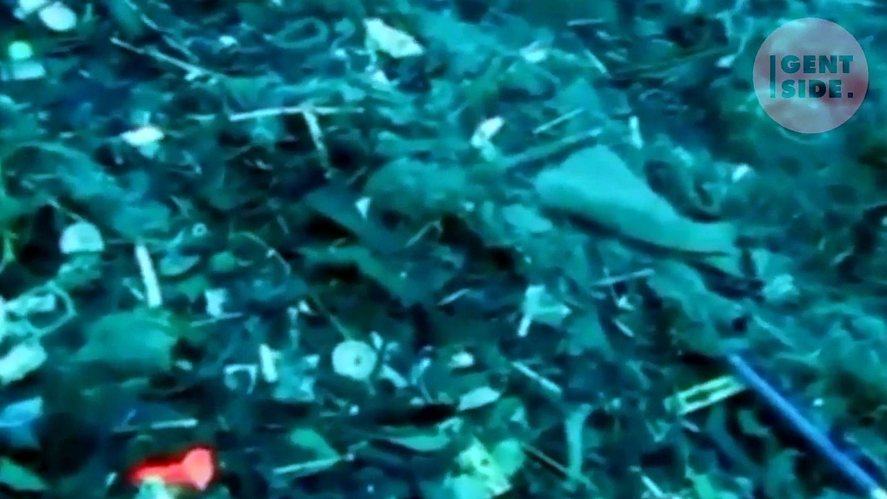 Esto ocurre en la fosa oceánica más profunda del mundo