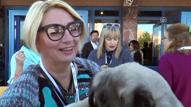 3. Uluslararası Termal ve Sağlık Turizmi Zirvesi - SİVAS