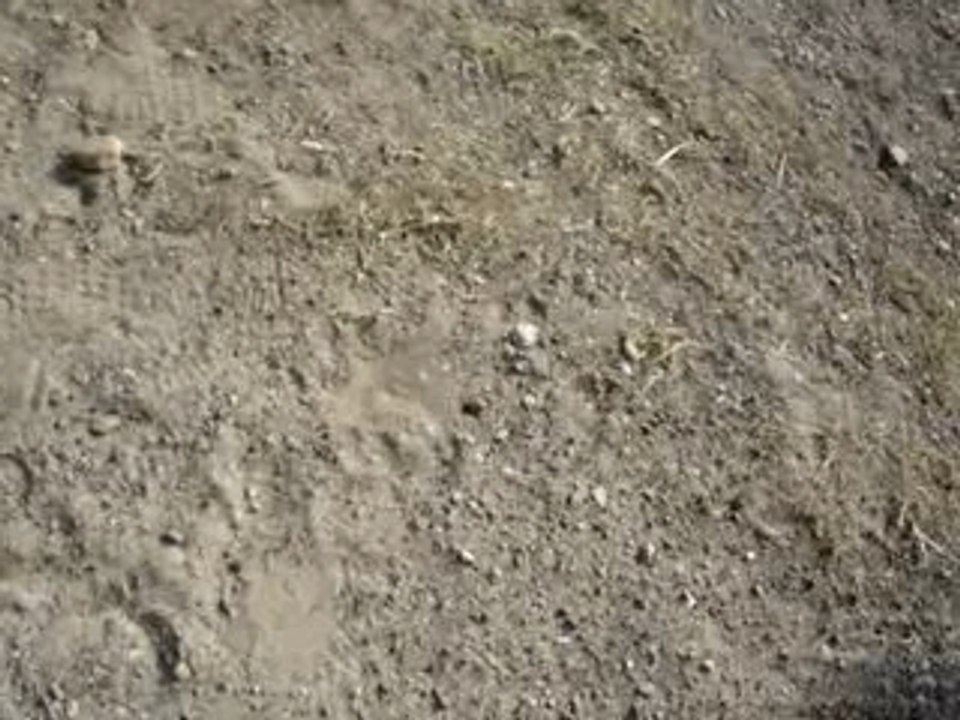 MOV01728