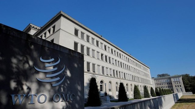 WTO reform should promote trade liberalization - China