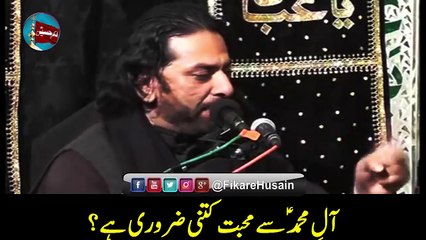 Aale Muhammad a.s Se Muhabbat | Allama Nasir Ababs Multan