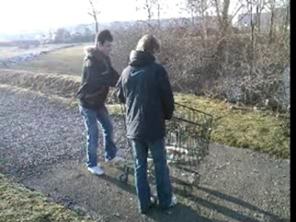 1 Fou dans un caddie...sur un lac gelé