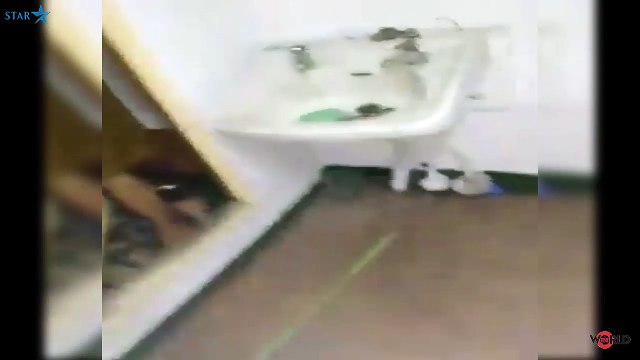 10 Foot tsunami's devastation captured in new horrifying video