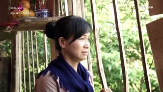 Xem phim Hoa Bay tập 34 VietSub + Thuyết minh [phim Việt Nam]